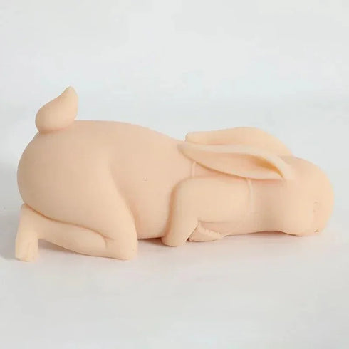 Rabbit Pussy - MiamiTeenyWeenyBikini.Com