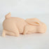 Rabbit Pussy - MiamiTeenyWeenyBikini.Com