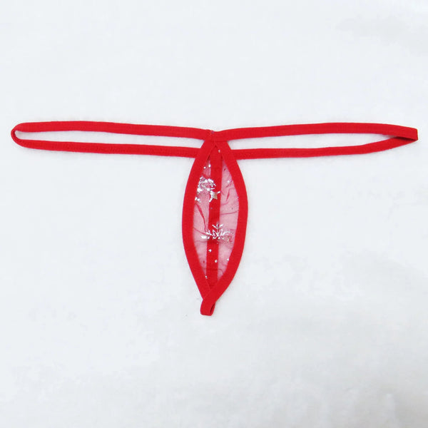 Mesh See Through Thong - MiamiTeenyWeenyBikini.Com