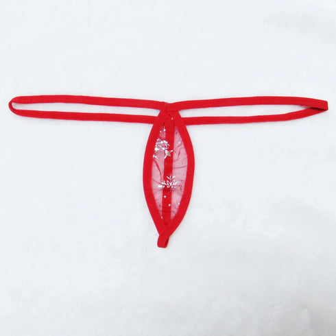 Mesh See Through Thong - MiamiTeenyWeenyBikini.Com