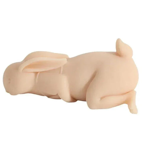 Rabbit Pussy - MiamiTeenyWeenyBikini.Com