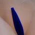 Thong Micro G-String - MiamiTeenyWeenyBikini.Com