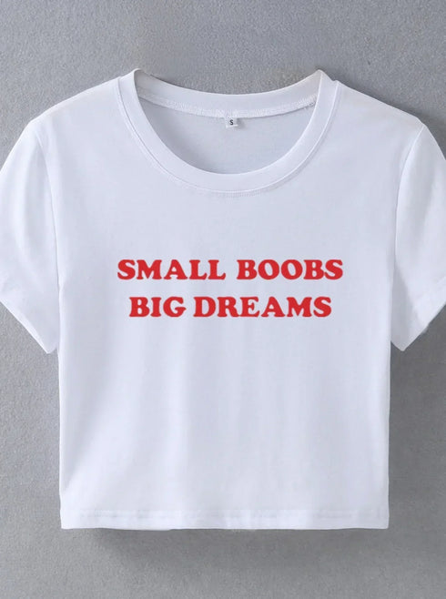 Small Boobs Big Dreams Top