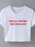 Small Boobs Big Dreams Top