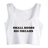 Small Boobs Big Dreams Crop Top - MiamiTeenyWeenyBikini.Com