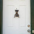 Funny Knocking Ornaments, Doorbell Sounding Door Decoration Resin Pendant - MiamiTeenyWeenyBikini.Com