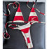 Stripe Brazilian Bikini Set - MiamiTeenyWeenyBikini.Com