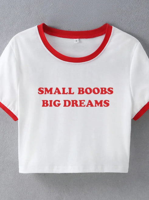 Small Boobs Big Dreams Top