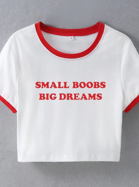 Small Boobs Big Dreams Top