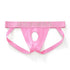 Harness Pants Jockstrap - MiamiTeenyWeenyBikini.Com