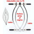 BDSM Fetish Pussy Massager - MiamiTeenyWeenyBikini.Com
