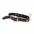 Nipple Cover Chain Collar Pasties