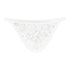 Men's Mini Thong Panties - MiamiTeenyWeenyBikini.Com
