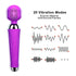 Wireless USB Rechargeable Magic Wand - MiamiTeenyWeenyBikini.Com