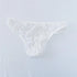 Men's Sexy Lace Transparent See Through Briefs - MiamiTeenyWeenyBikini.Com