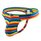 Rainbow Stripe Jock - MiamiTeenyWeenyBikini.Com