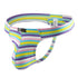Rainbow Stripe Jock - MiamiTeenyWeenyBikini.Com