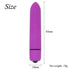 10 Speed Mini Bullet Vibrator - Miami Teeny Weeny Bikini